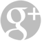 google plus icon