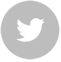 twitter icon